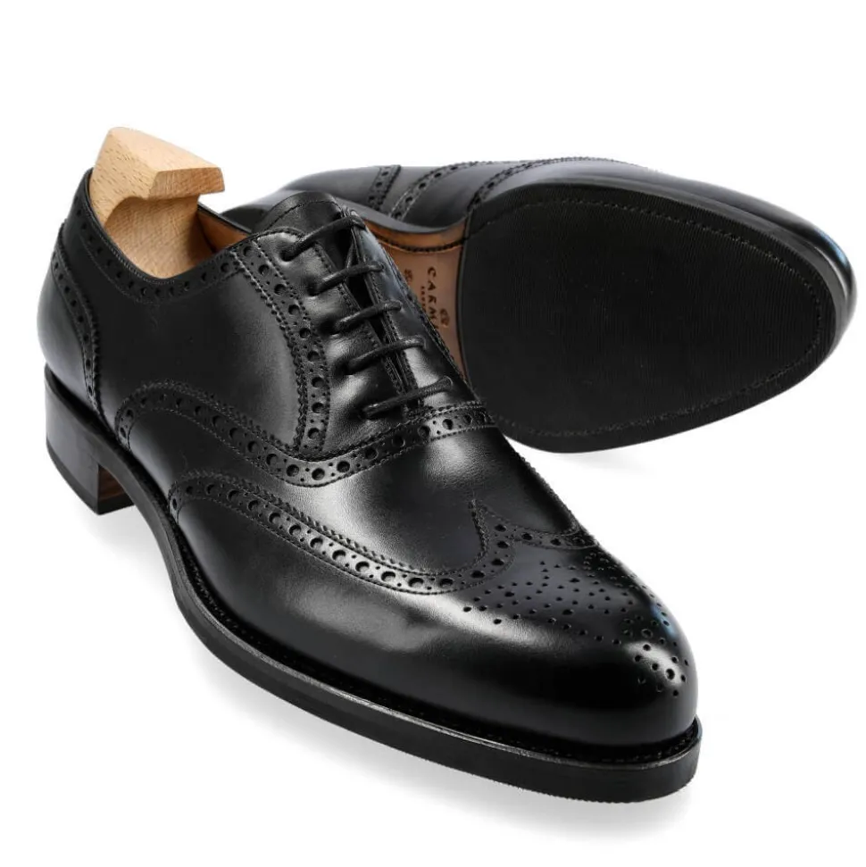PALA VEGA OXFORD 813 FOREST